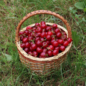 Caja de 20 kg de cerezas frescas